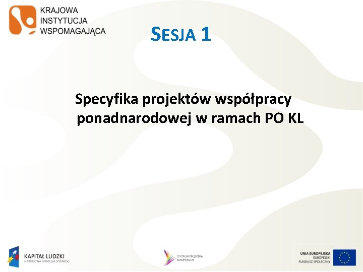 SESJA 1 Specyfika projektów współpracy ponadnarodowej w ramach PO KL 