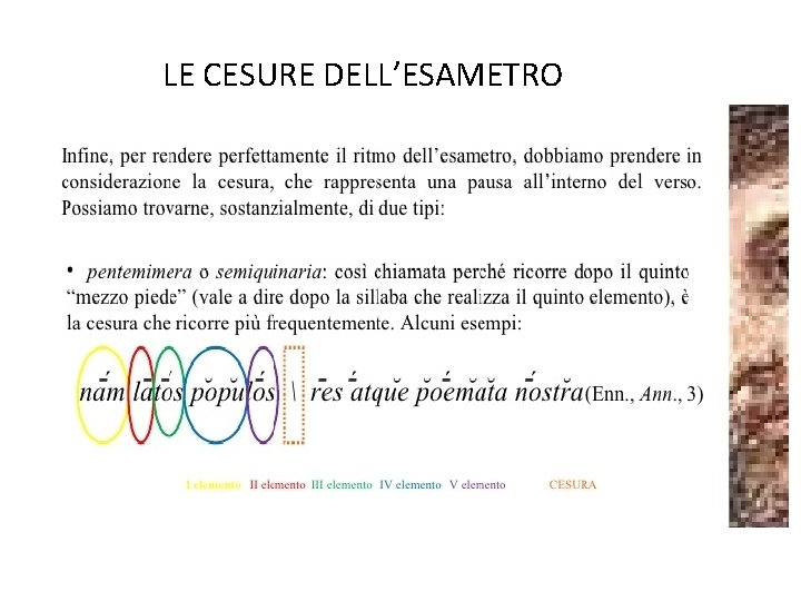 LE CESURE DELL’ESAMETRO 