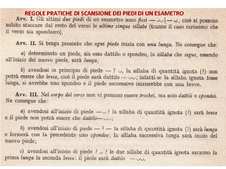 REGOLE PRATICHE DI SCANSIONE DEI PIEDI DI UN ESAMETRO REGOLE PRATICHE DI SCANSIONE DEI PIEDI DI UN ESAMETRO