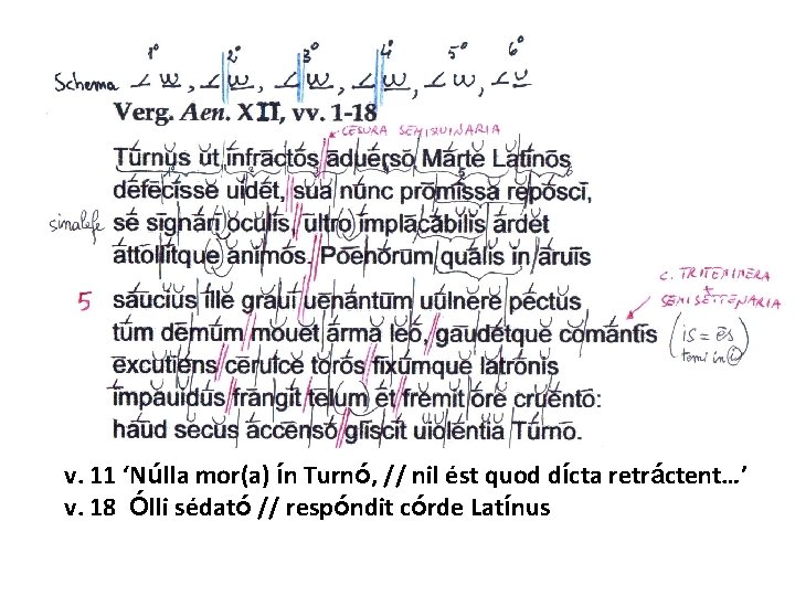 v. 11 ‘Núlla mor(a) ín Turnó, // nil ést quod dícta retráctent…’ v. 18