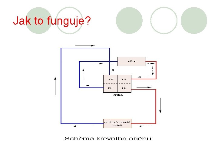 Jak to funguje? 