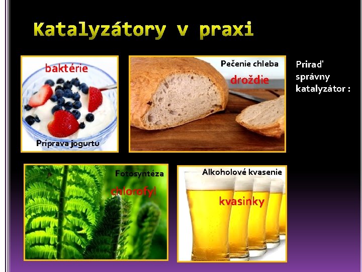 Pečenie chleba baktérie droždie Príprava jogurtu Fotosyntéza chlorofyl Alkoholové kvasenie kvasinky Priraď správny katalyzátor