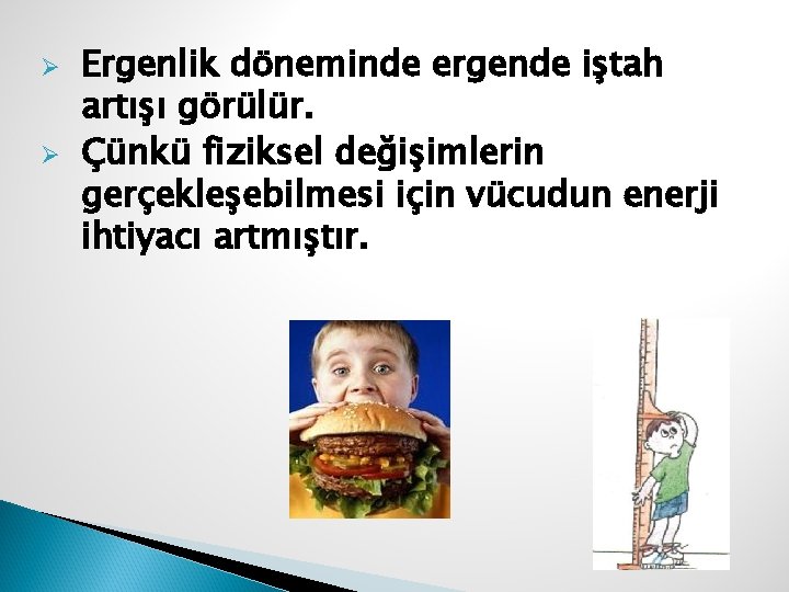 Ø Ø Ergenlik döneminde ergende iştah artışı görülür. Çünkü fiziksel değişimlerin gerçekleşebilmesi için vücudun