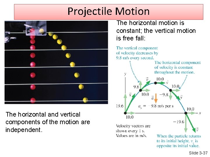 Projectile Motion The horizontal motion is constant; the vertical motion is free fall: The