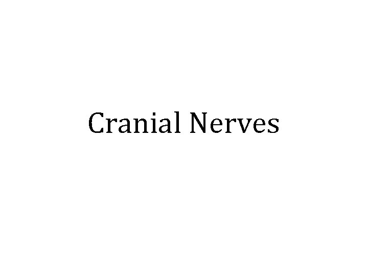 Cranial Nerves 