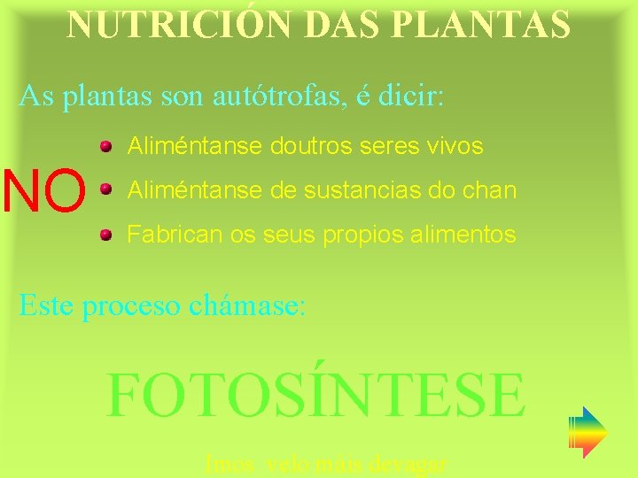 NUTRICIÓN DAS PLANTAS As plantas son autótrofas, é dicir: NO Aliméntanse doutros seres vivos