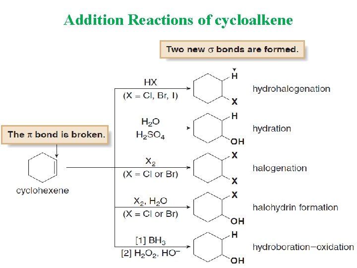 Addition Reactions of cycloalkene 