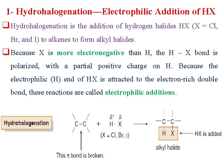 1 - Hydrohalogenation—Electrophilic Addition of HX q Hydrohalogenation is the addition of hydrogen halides