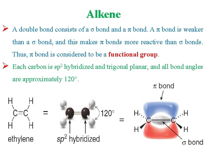 Alkene Ø A double bond consists of a σ bond a π bond. A
