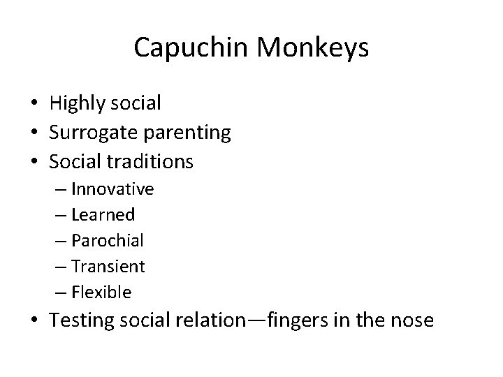 Capuchin Monkeys • Highly social • Surrogate parenting • Social traditions – Innovative –