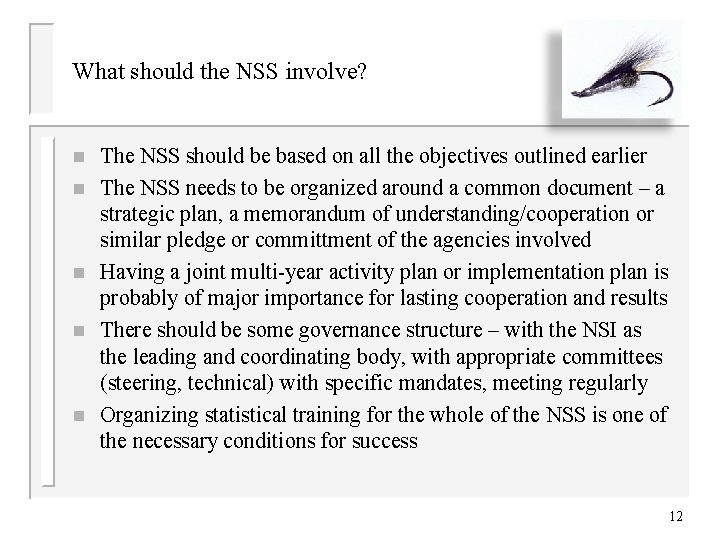 What should the NSS involve? n n n The NSS should be based on