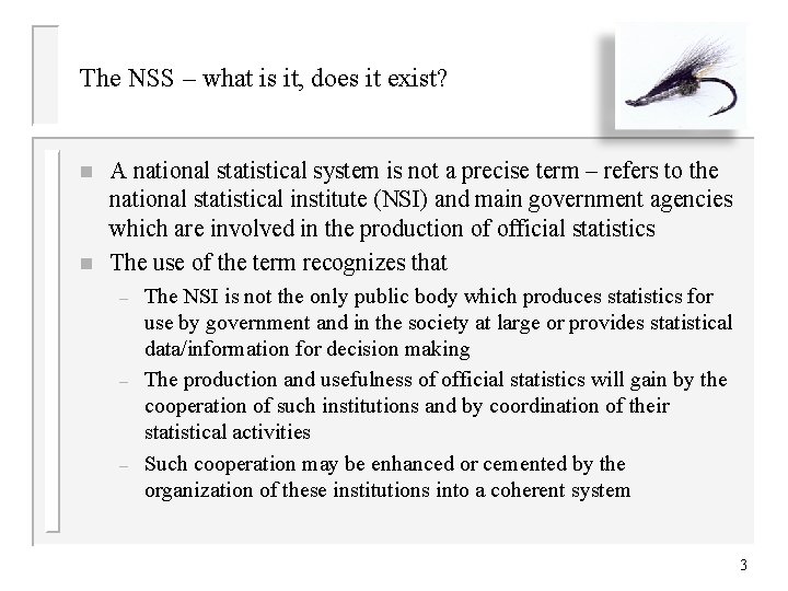 The NSS – what is it, does it exist? n n A national statistical