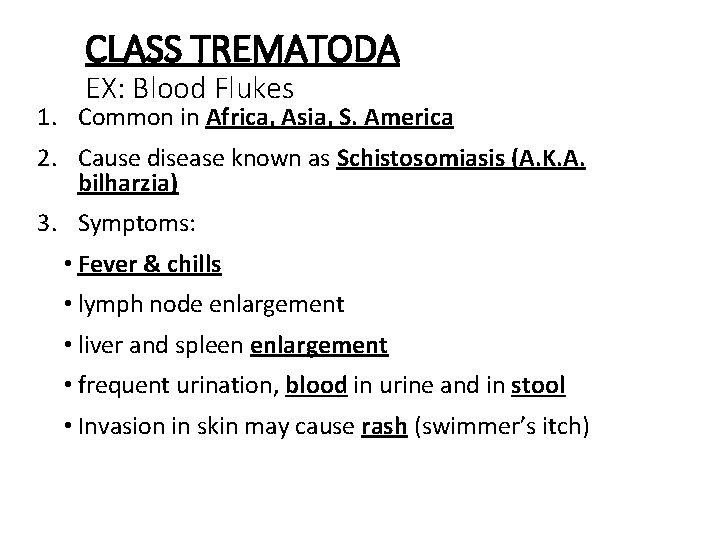 CLASS TREMATODA EX: Blood Flukes 1. Common in Africa, Asia, S. America 2. Cause