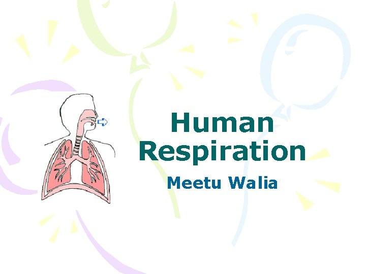 Human Respiration Meetu Walia 