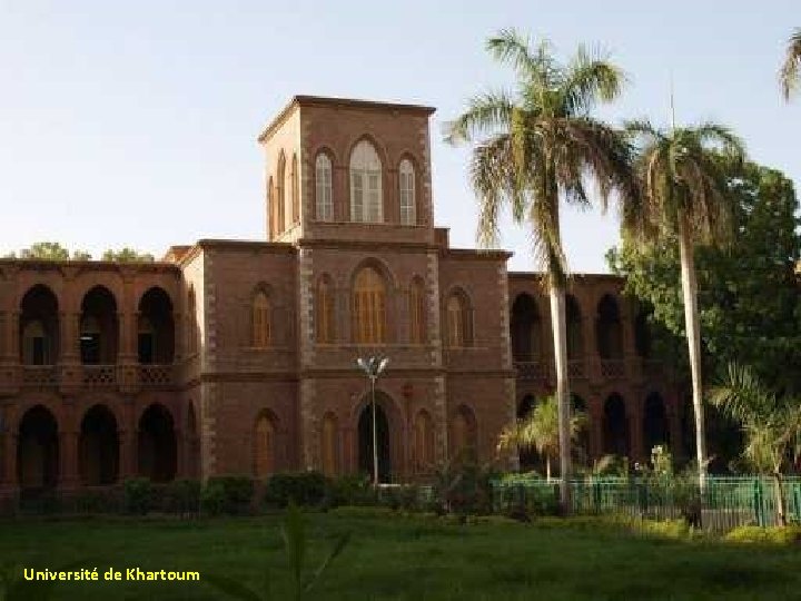 Université de Khartoum 