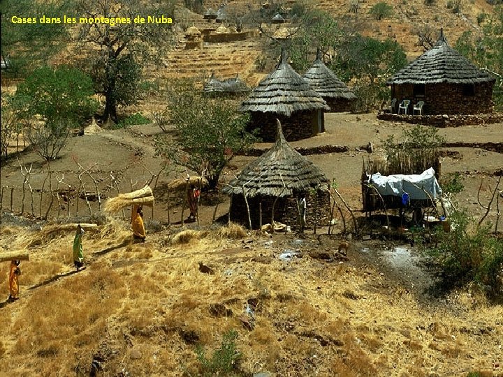 Cases dans les montagnes de Nuba 