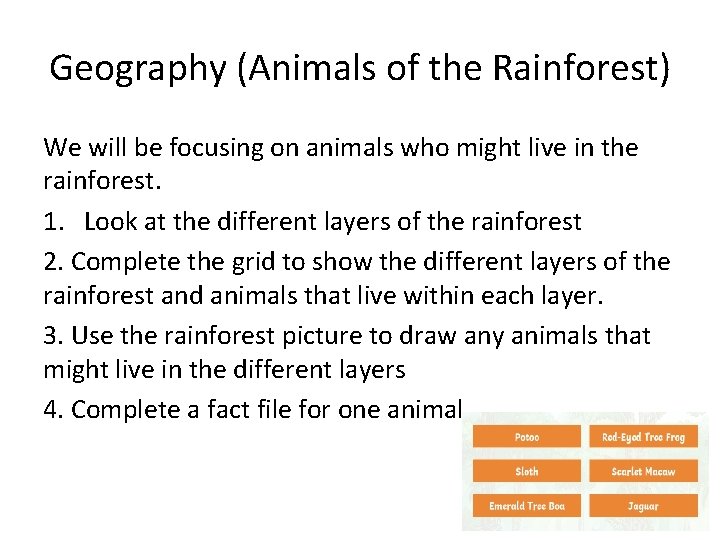 Geography (Animals of the Rainforest) We will be focusing on animals who might live