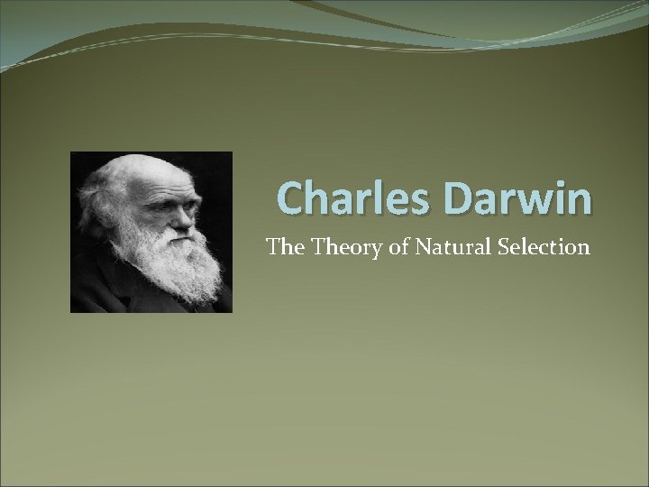 Charles Darwin Theory of Natural Selection Voyage of