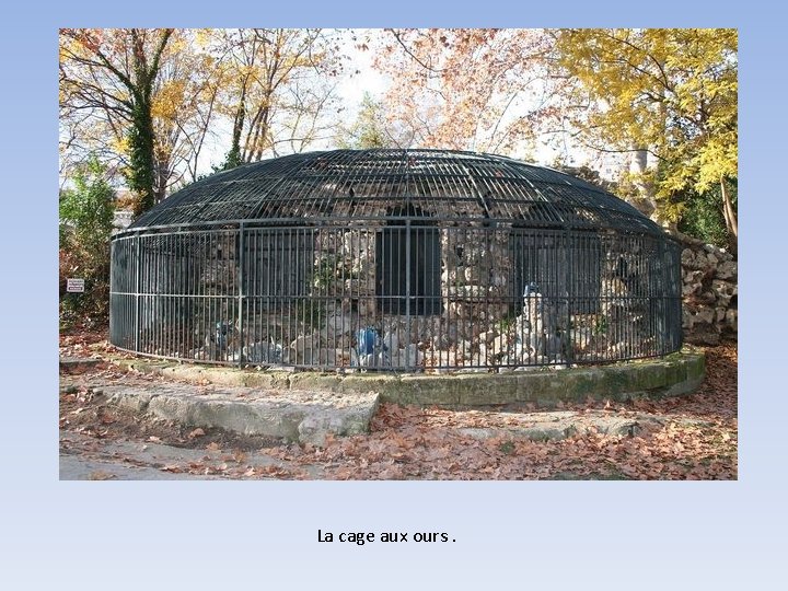 La cage aux ours. 