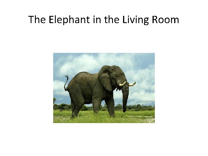 The Elephant in the Living Room 