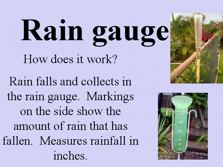 Rain gauge How does it work? Rain falls and collects in the rain gauge.