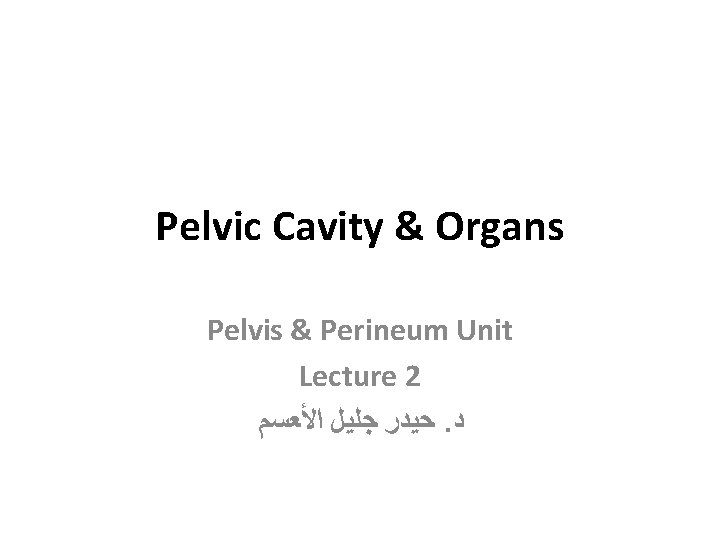 Pelvic Cavity & Organs Pelvis & Perineum Unit Lecture 2 ﺣﻴﺪﺭ ﺟﻠﻴﻞ ﺍﻷﻌﺴﻢ. ﺩ