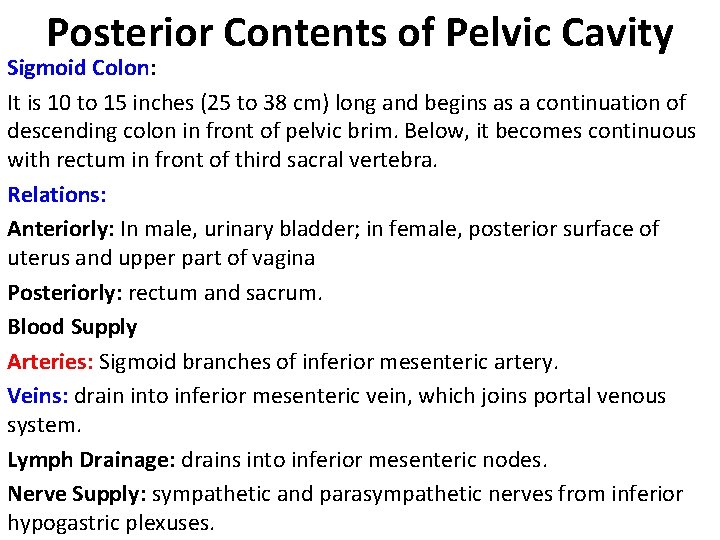 Posterior Contents of Pelvic Cavity Sigmoid Colon: It is 10 to 15 inches (25