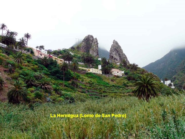 . . . La Hermigua (Lomo de San Pedro) 