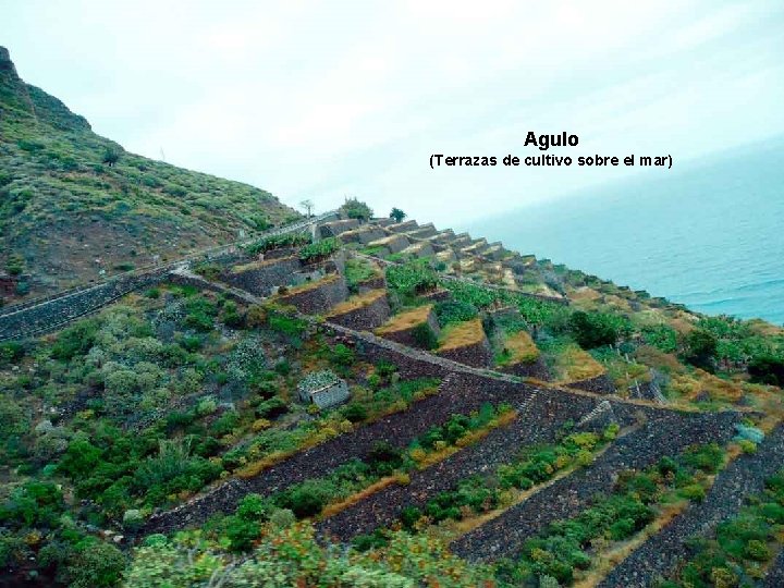 Agulo (Terrazas de cultivo sobre el mar) . . . 