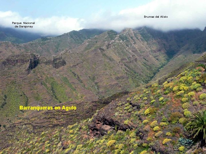 Brumas del Alisio Parque Nacional de Garajonay . . . Barranqueras en Agulo 