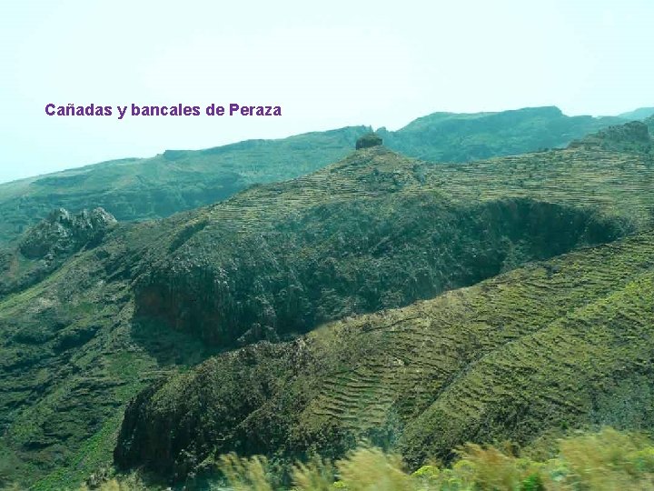Cañadas y bancales de Peraza . . . 