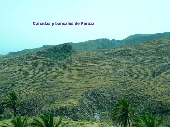 Cañadas y bancales de Peraza . . . 