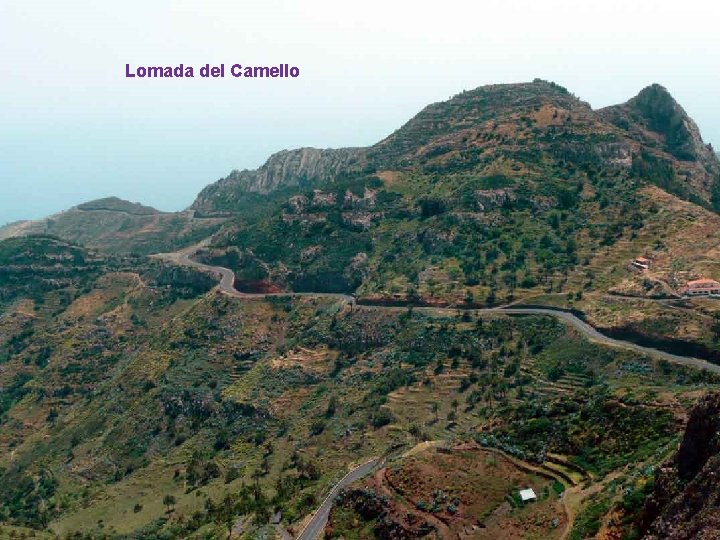 Lomada del Camello . . . 