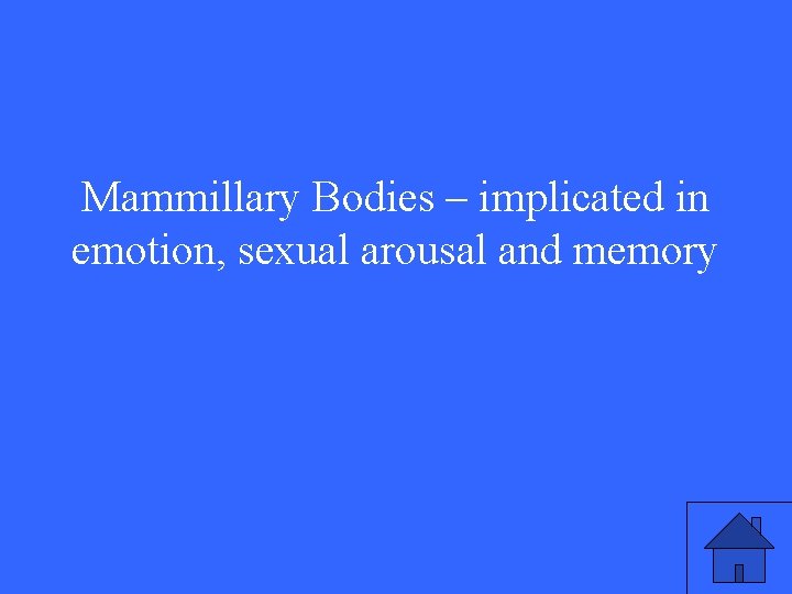 Mammillary Bodies – implicated in emotion, sexual arousal and memory 