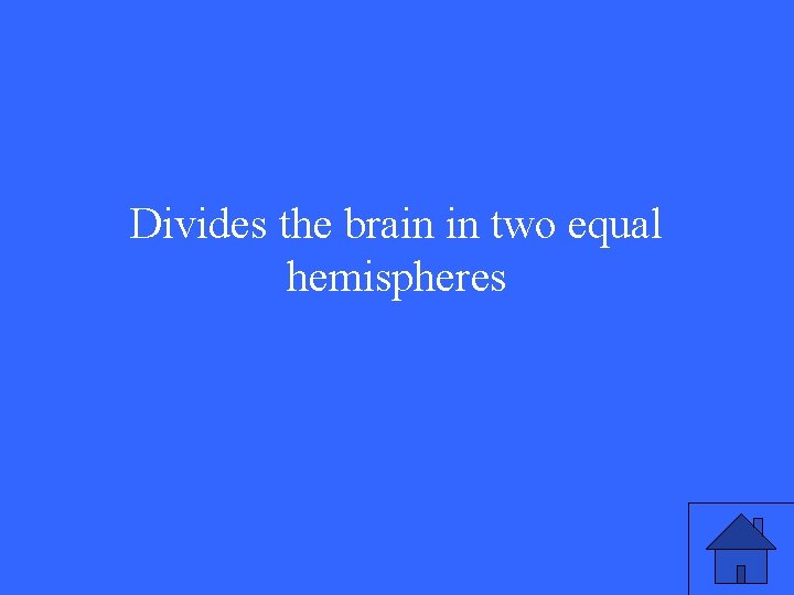 Divides the brain in two equal hemispheres 