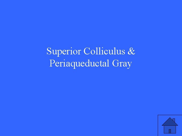 Superior Colliculus & Periaqueductal Gray 