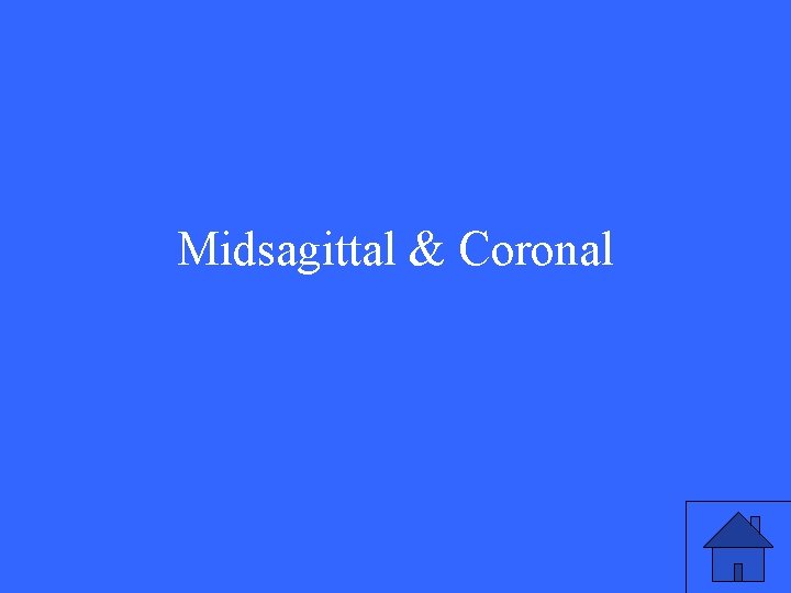 Midsagittal & Coronal 