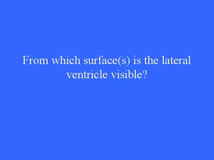 From which surface(s) is the lateral ventricle visible? 