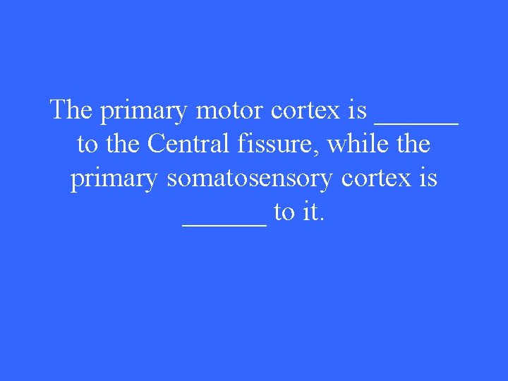 The primary motor cortex is ______ to the Central fissure, while the primary somatosensory