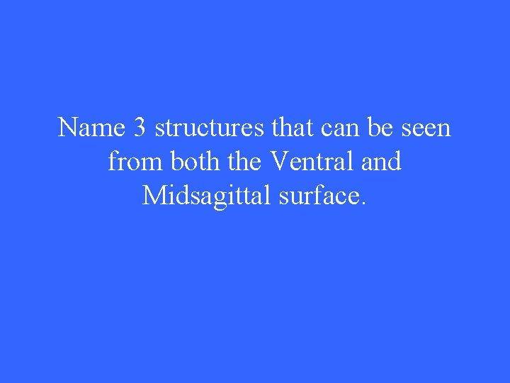 Name 3 structures that can be seen from both the Ventral and Midsagittal surface.