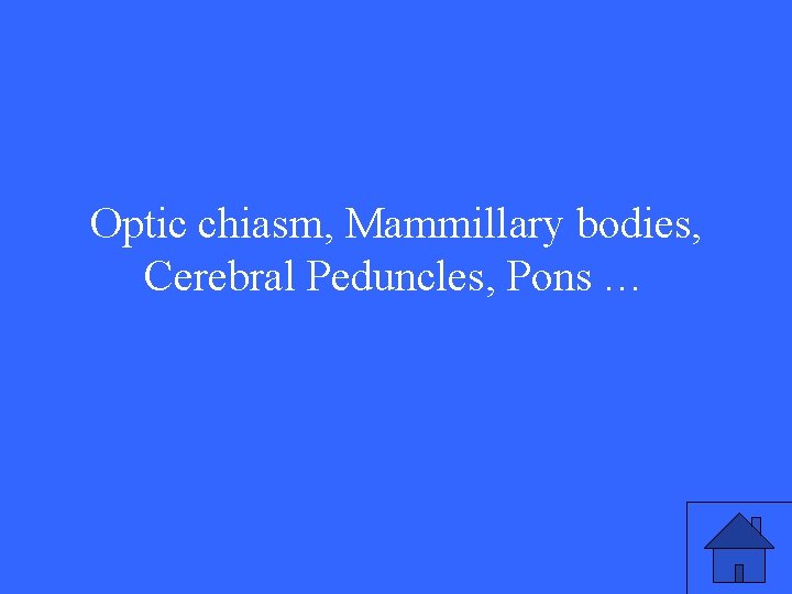 Optic chiasm, Mammillary bodies, Cerebral Peduncles, Pons … 