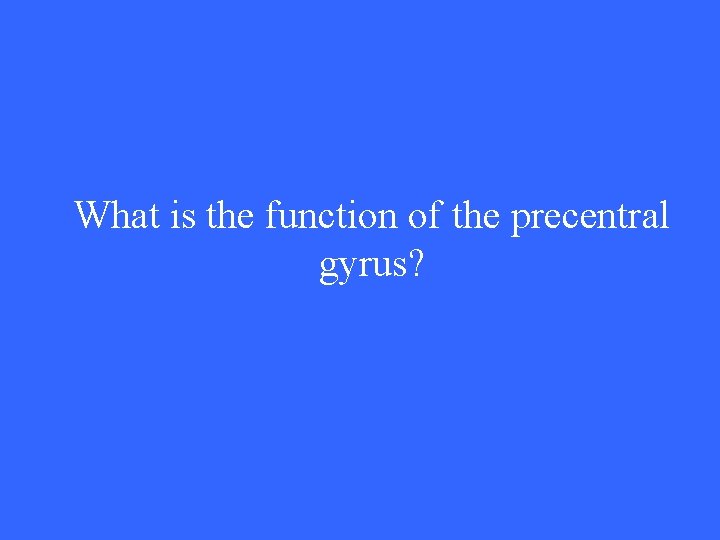 What is the function of the precentral gyrus? 