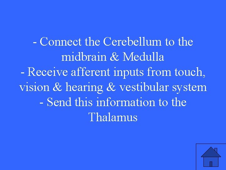 - Connect the Cerebellum to the midbrain & Medulla - Receive afferent inputs from