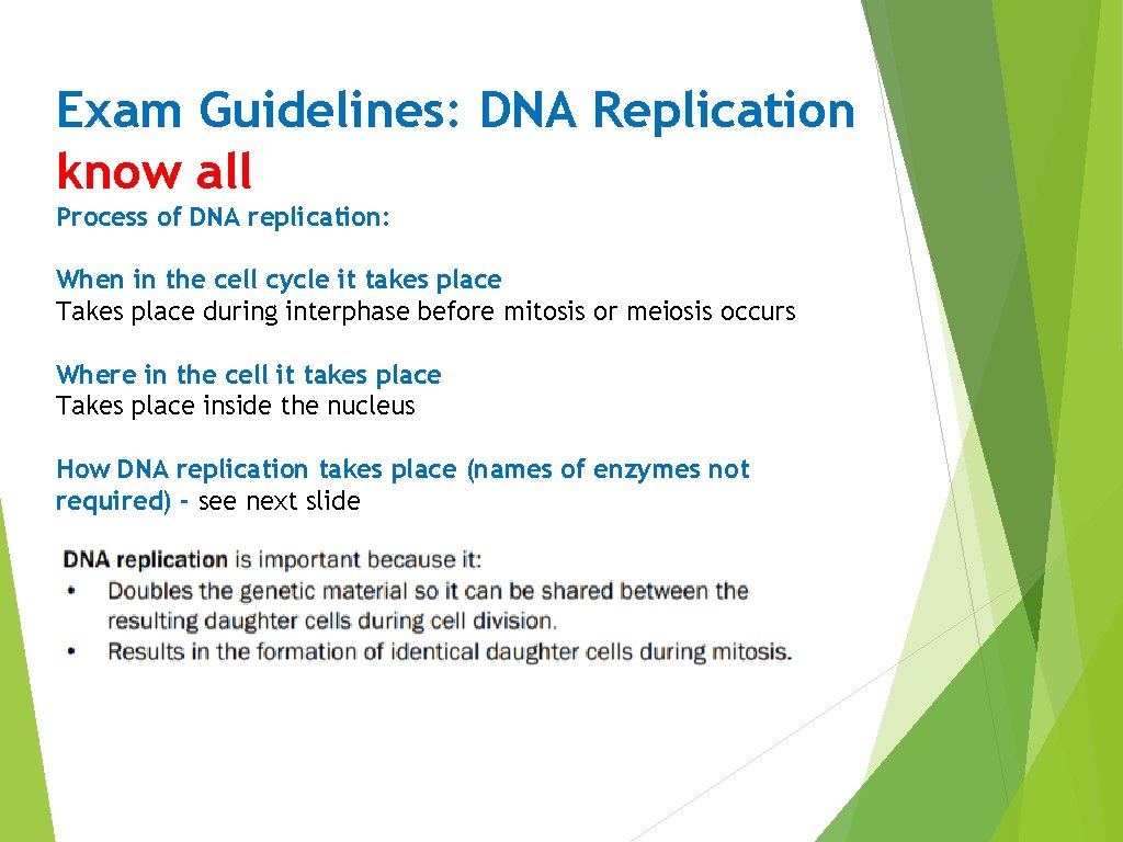 Exam Guidelines: DNA Replication know all Process of DNA replication: When in the cell Exam Guidelines: DNA Replication know all Process of DNA replication: When in the cell