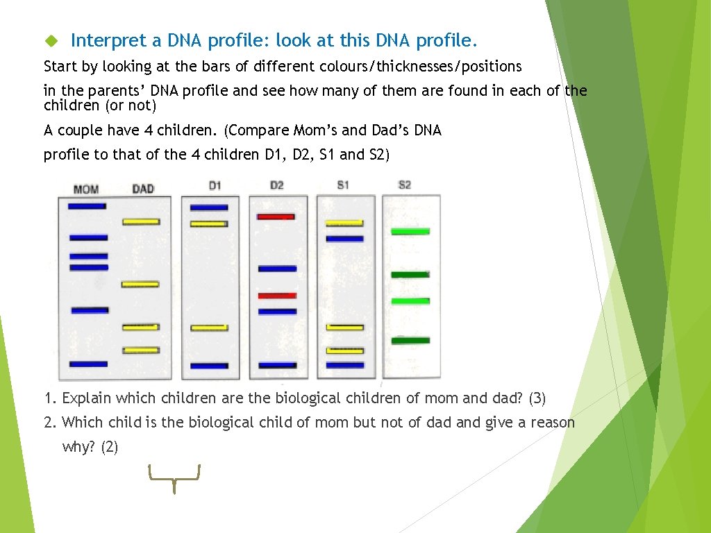 Interpret a DNA profile: look at this DNA profile. Start by looking at Interpret a DNA profile: look at this DNA profile. Start by looking at