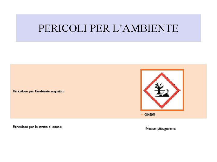 PERICOLI PER L’AMBIENTE 