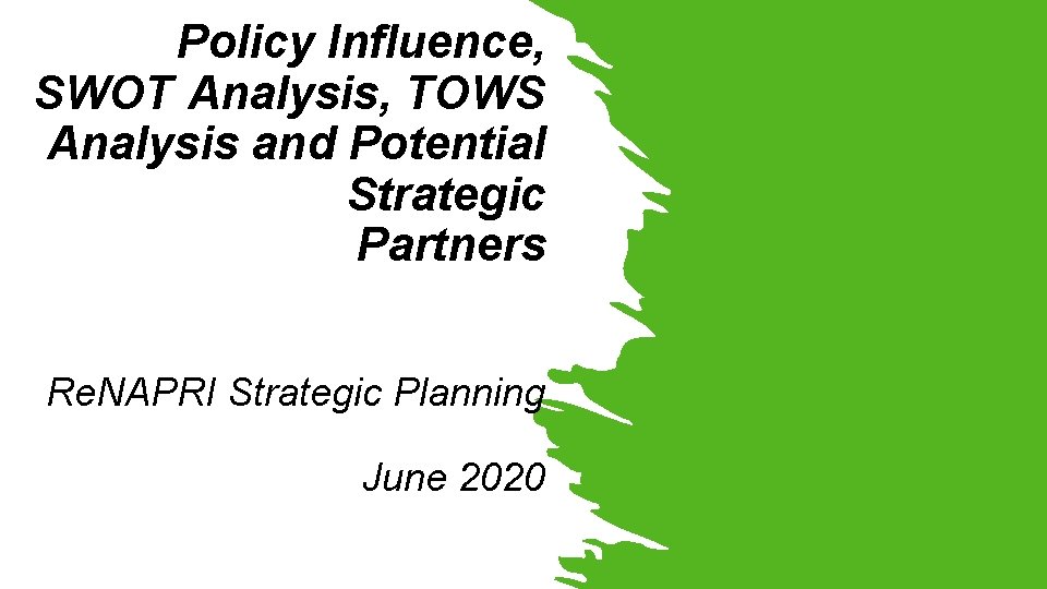 Policy Influence, SWOT Analysis, TOWS Analysis and Potential Strategic Partners Re. NAPRI Strategic Planning