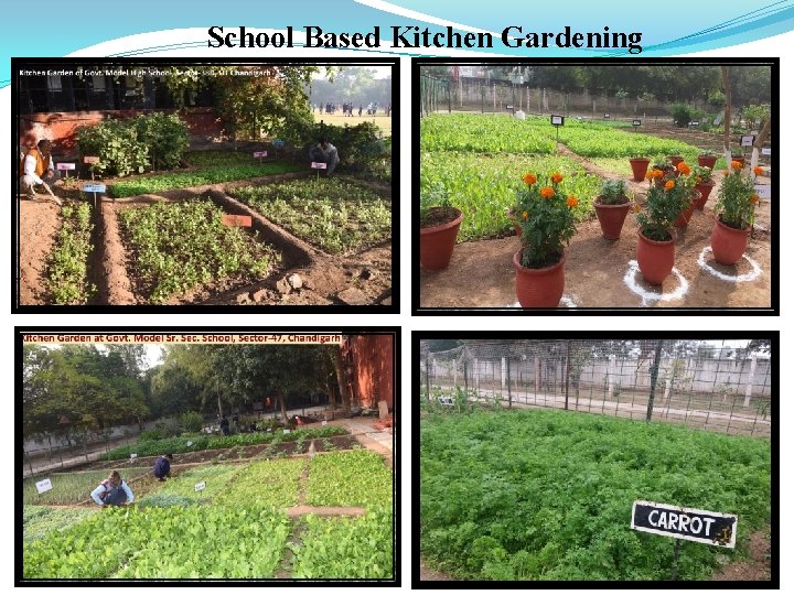 School Based Kitchen Gardening 