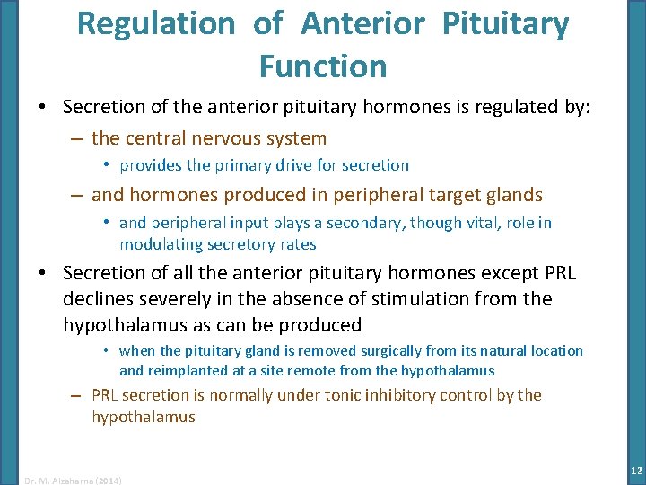 Regulation of Anterior Pituitary Function • Secretion of the anterior pituitary hormones is regulated
