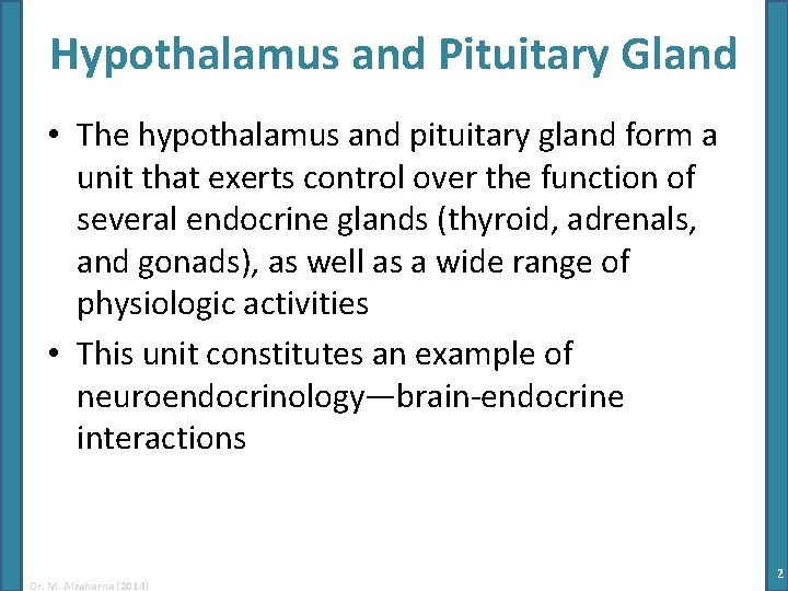 Hypothalamus and Pituitary Gland • The hypothalamus and pituitary gland form a unit that